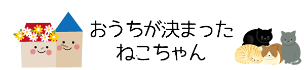 おうちが決まったねこちゃん