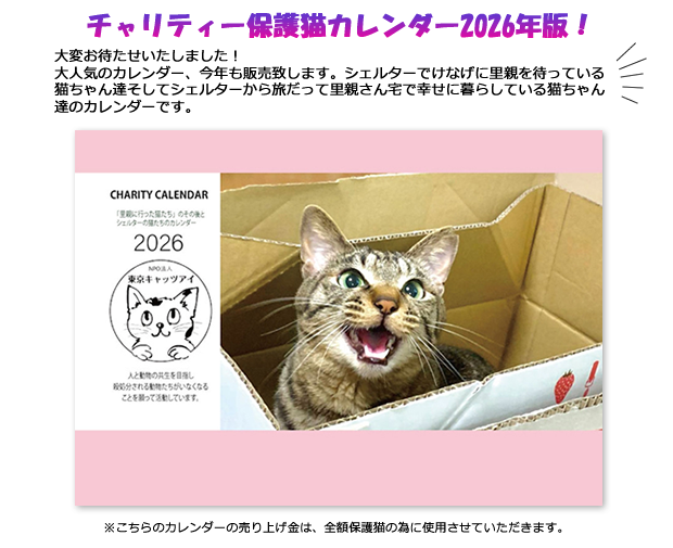 チャリティ保護猫カレンダ－