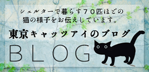 東京キャッツアイのブログ