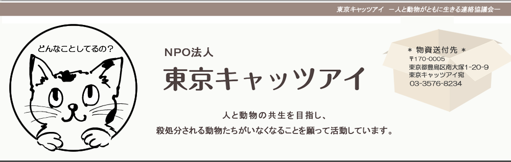 東京キャッツアイの活動