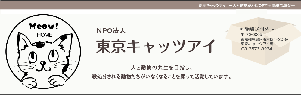 東京キャッツアイトップページ
