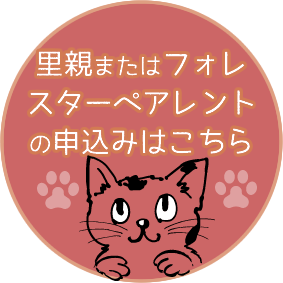 里親・フォスターペアレントのお申込み