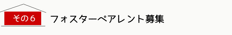 その6.フォスターペアレント募集